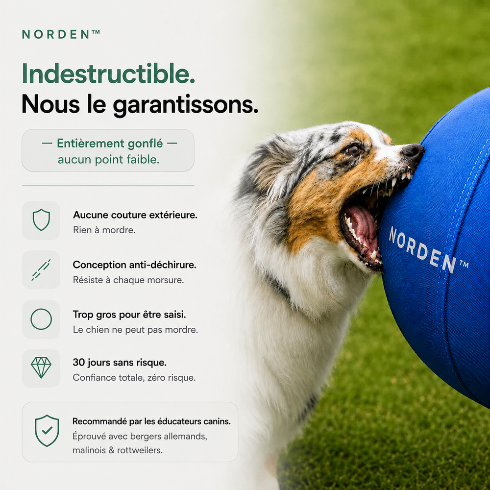 NORDEN™ - Ballon à Pousser Original