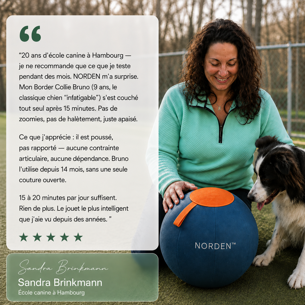 NORDEN™ - Ballon à Pousser Original