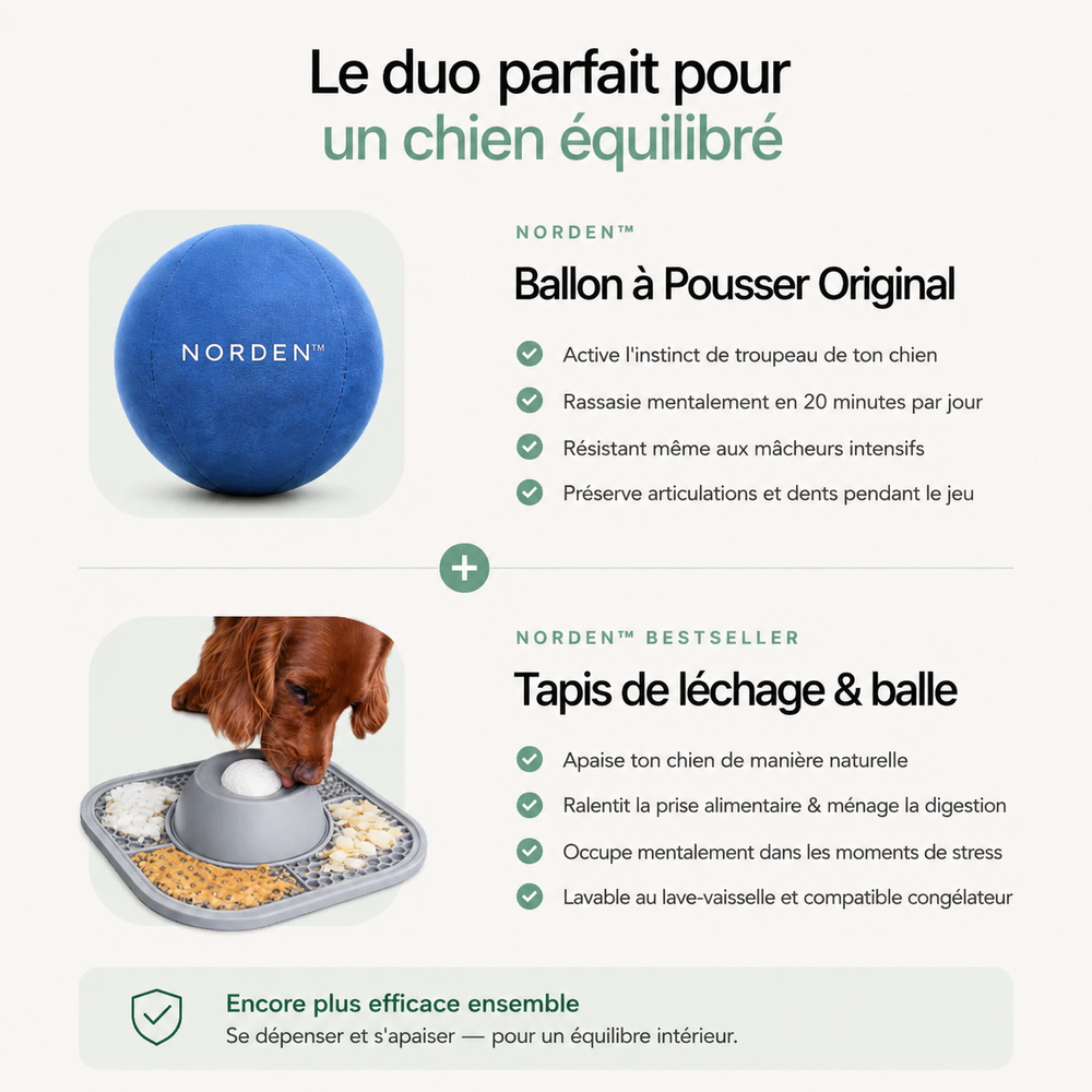 NORDEN™ - Ballon à Pousser Original