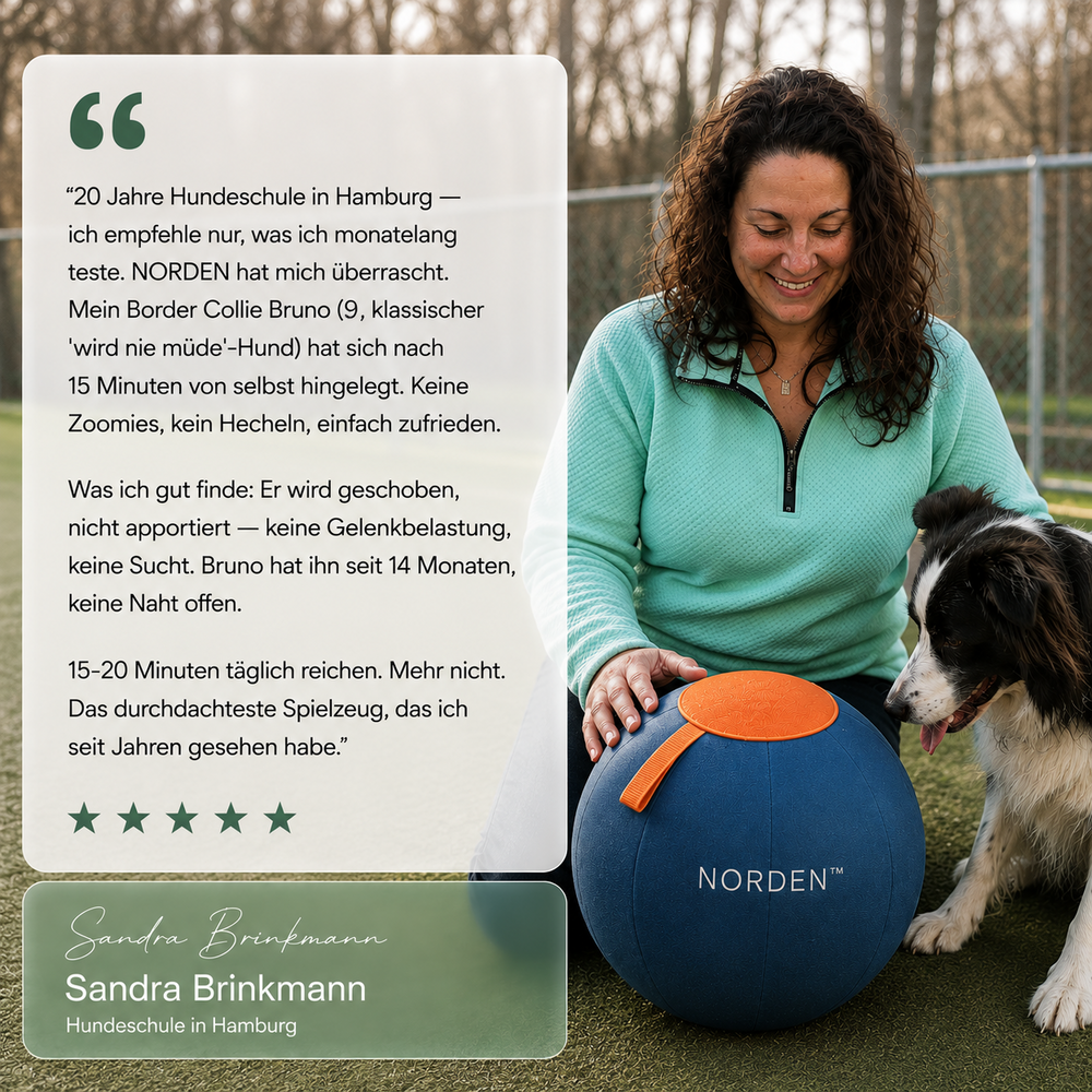 NORDEN™ — Original Treibball