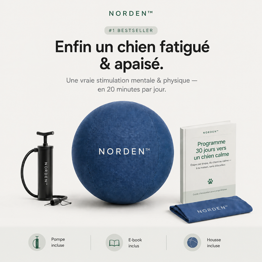 NORDEN™ - Ballon à Pousser Original
