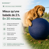 NORDEN™ - Ballon à Pousser Original