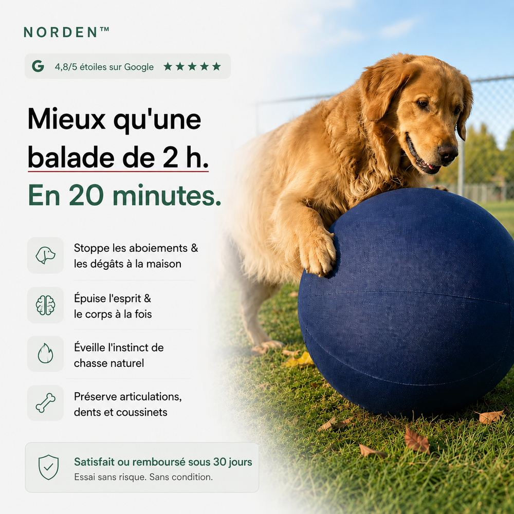 NORDEN™ - Ballon à Pousser Original
