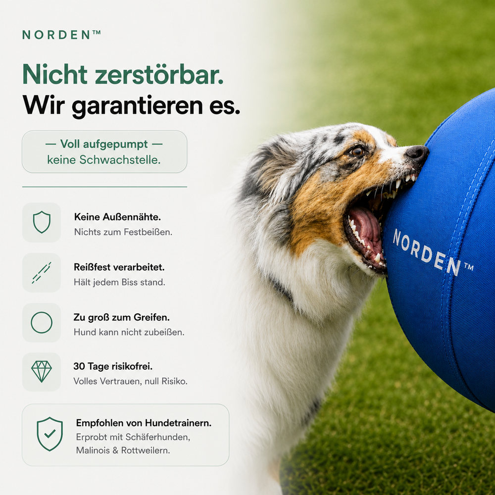 NORDEN™ — Original Treibball