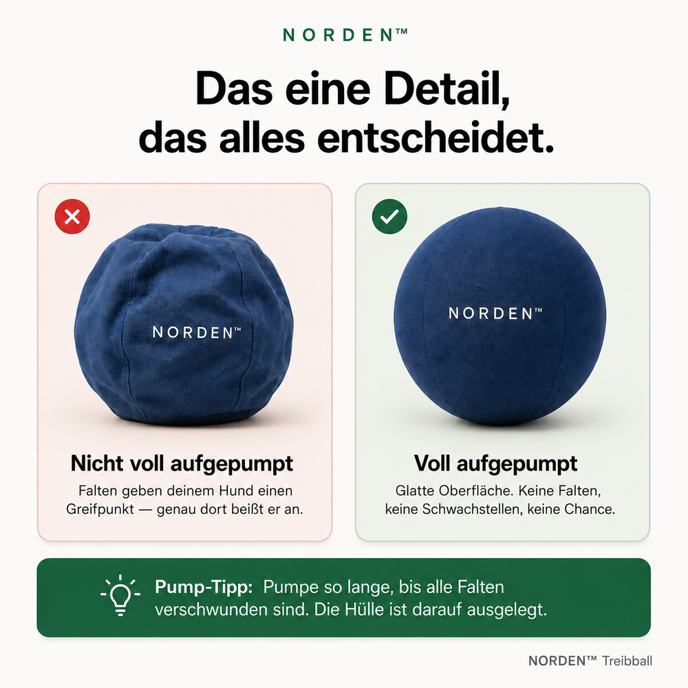 NORDEN™ — Original Treibball