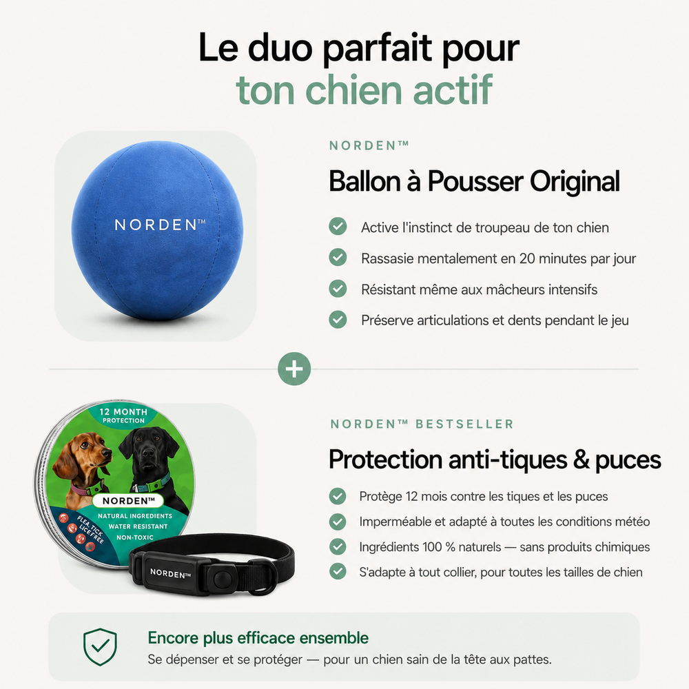 NORDEN™ - Ballon à Pousser Original