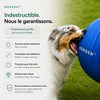 NORDEN™ - Ballon à Pousser Original