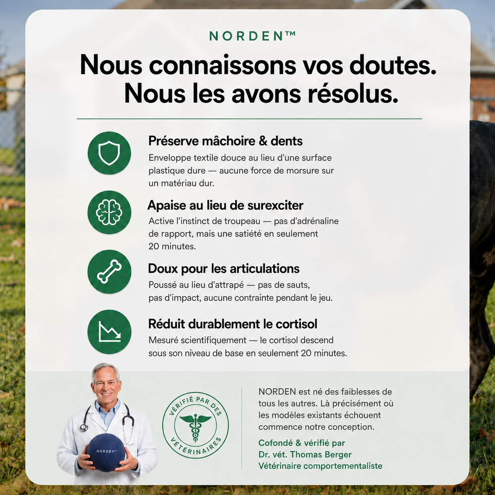 NORDEN™ - Ballon à Pousser Original
