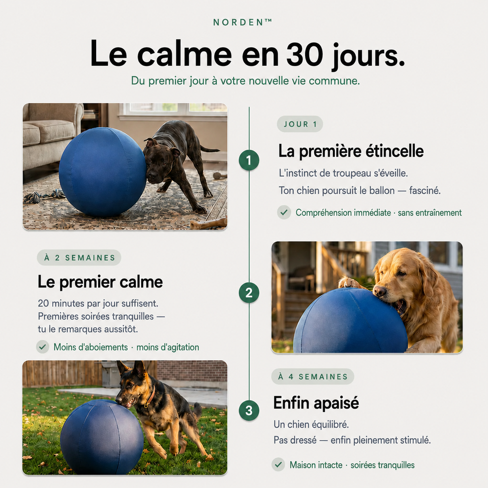NORDEN™ - Ballon à Pousser Original
