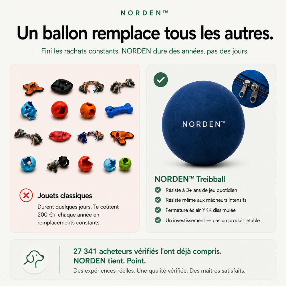 NORDEN™ - Ballon à Pousser Original