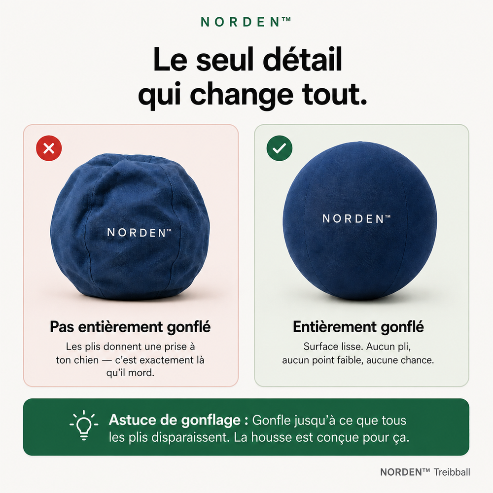 NORDEN™ - Ballon à Pousser Original