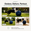 NORDEN™ - Ballon à Pousser Original