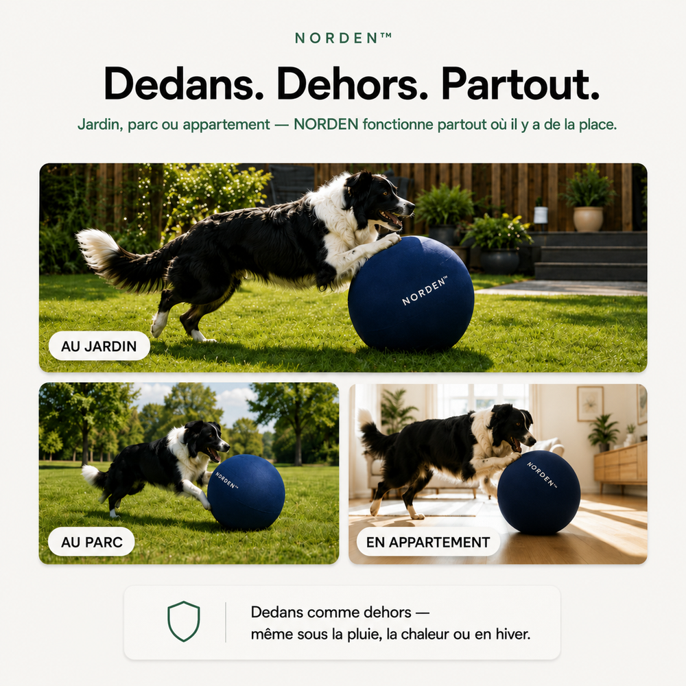 NORDEN™ - Ballon à Pousser Original