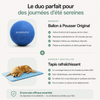 NORDEN™ - Ballon à Pousser Original