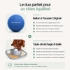 NORDEN™ - Ballon à Pousser Original
