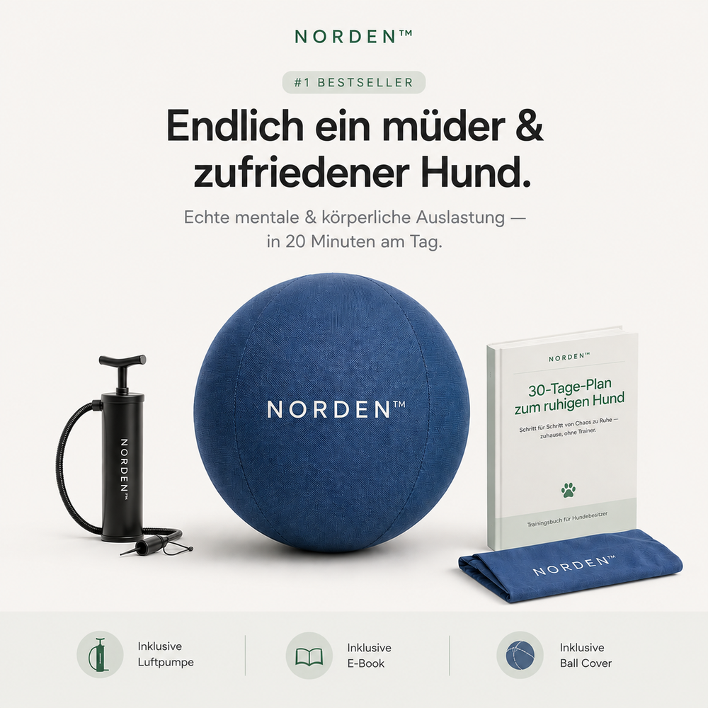 S | Hunde unter 15kg