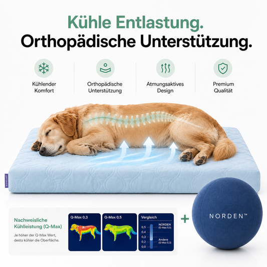 Treibball + Kühlendes Hundebett